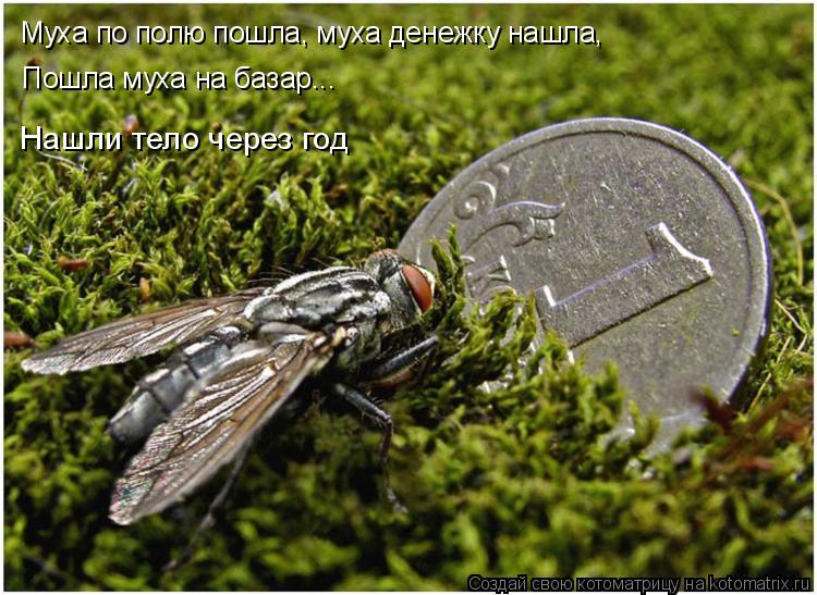 Муха по полю пошла, муха денежку нашла, Пошла муха на базар... Нашли тело через год... Котоматрица: Муха по полю пошла, муха денежку нашла, Пошла муха на базар... Нашли тело через год