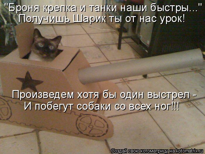 "Броня крепка и танки наши быстры..." Получишь Шарик ты от нас урок! Произведем хотя бы один выстрел ... Котоматрица: "Броня крепка и танки наши быстры..." Получишь Шарик ты от нас урок! Произведем хотя бы один выстрел - И побегут собаки со всех ног!!!
