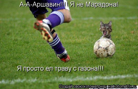 А-А-Аршавин!!!! Я не Марадона! Я просто ел траву с газона!!!... Котоматрица: А-А-Аршавин!!!! Я не Марадона! Я просто ел траву с газона!!!