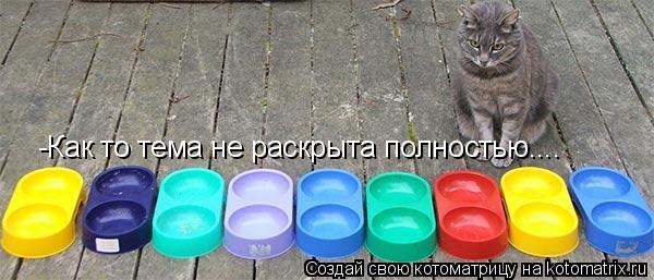 -Как то тема не раскрыта полностью....... Котоматрица: -Как то тема не раскрыта полностью....