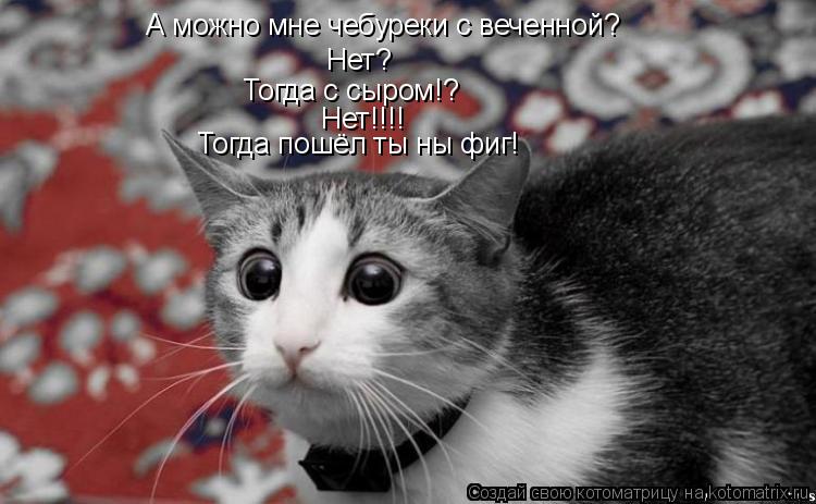 А можно мне чебуреки с веченной? Нет? Тогда с сыром!? Нет!!!! Тогда пошёл ты ны фиг!... Котоматрица: А можно мне чебуреки с веченной? Нет? Тогда с сыром!? Нет!!!! Тогда пошёл ты ны фиг!