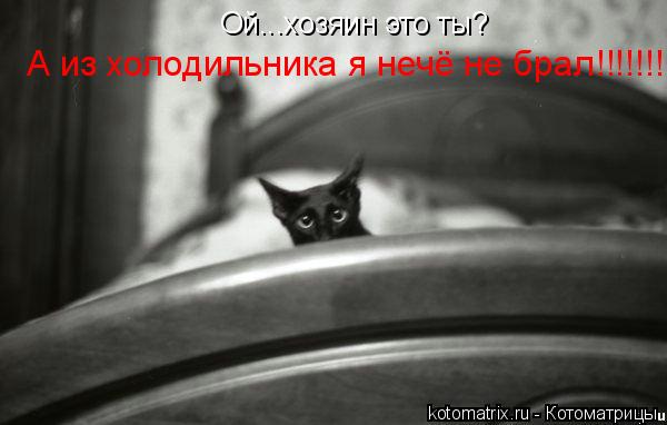 Ой...хозяин это ты? А из холодильника я нечё не брал!!!!!!!... Котоматрица: Ой...хозяин это ты? А из холодильника я нечё не брал!!!!!!!