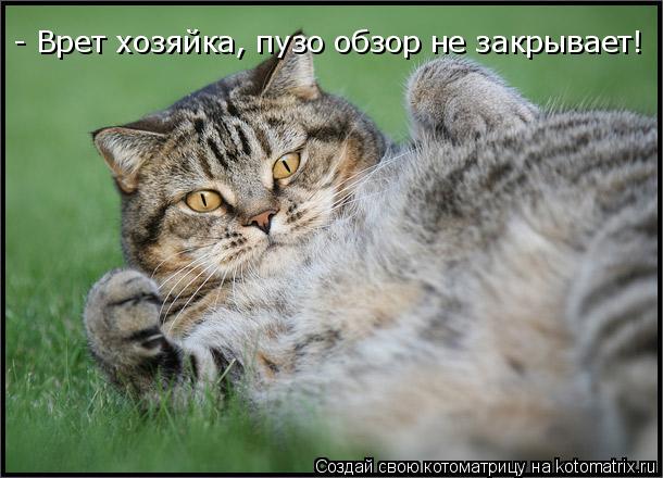- Врет хозяйка, пузо обзор не закрывает!... Котоматрица: - Врет хозяйка, пузо обзор не закрывает!