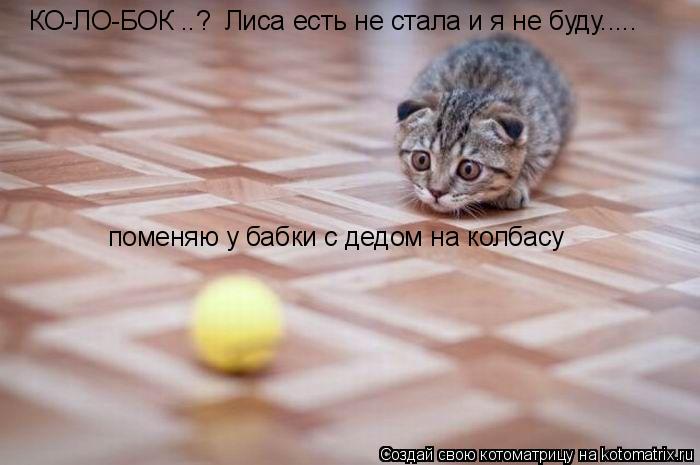 КО-ЛО-БОК ..? Лиса есть не стала и я не буду..... поменяю у бабки с дедом на колбасу... Котоматрица: КО-ЛО-БОК ..? Лиса есть не стала и я не буду..... поменяю у бабки с дедом на колбасу