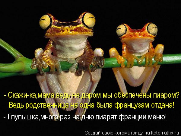 - Скажи-ка,мама,ведь не даром мы обеспечены пиаром? Ведь родственница не одна была французам отдана! ... Котоматрица: - Скажи-ка,мама,ведь не даром мы обеспечены пиаром? Ведь родственница не одна была французам отдана! - Глупышка,много раз на дню пиарят франц