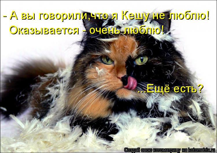 - А вы говорили,что я Кешу не люблю! Оказывается - очень люблю! ...Ещё есть?... Котоматрица: - А вы говорили,что я Кешу не люблю! Оказывается - очень люблю! ...Ещё есть?