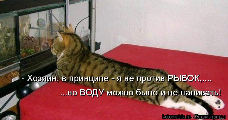 - Хозяин, в принципе - я не против РЫБОК,.... ...но ВОДУ можно было и не наливать!... Котоматрица: - Хозяин, в принципе - я не против РЫБОК,.... ...но ВОДУ можно было и не наливать!