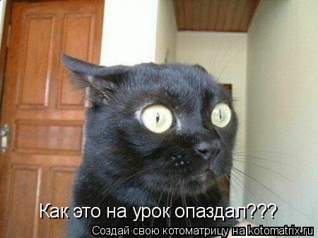 Как это на урок опаздал???... Котоматрица: Как это на урок опаздал???