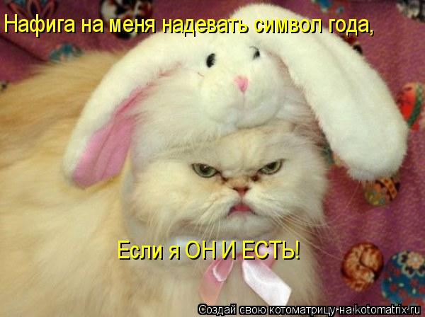 Нафига на меня надевать символ года, Если я ОН И ЕСТЬ!... Котоматрица: Нафига на меня надевать символ года, Если я ОН И ЕСТЬ!