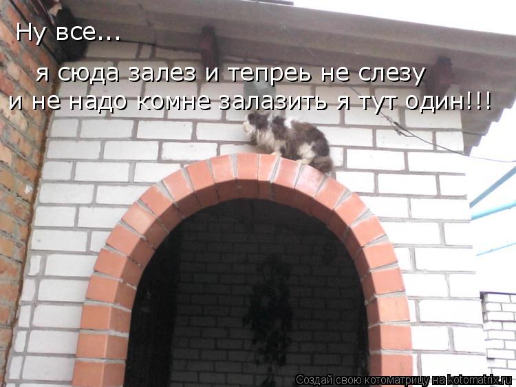 Ну все... я сюда залез и тепреь не слезу и не надо комне залазить я тут один!!!... Котоматрица: Ну все... я сюда залез и тепреь не слезу и не надо комне залазить я тут один!!!