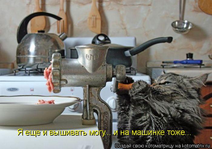 Я еще и вышивать могу... и на машинке тоже...... Котоматрица: Я еще и вышивать могу... и на машинке тоже...