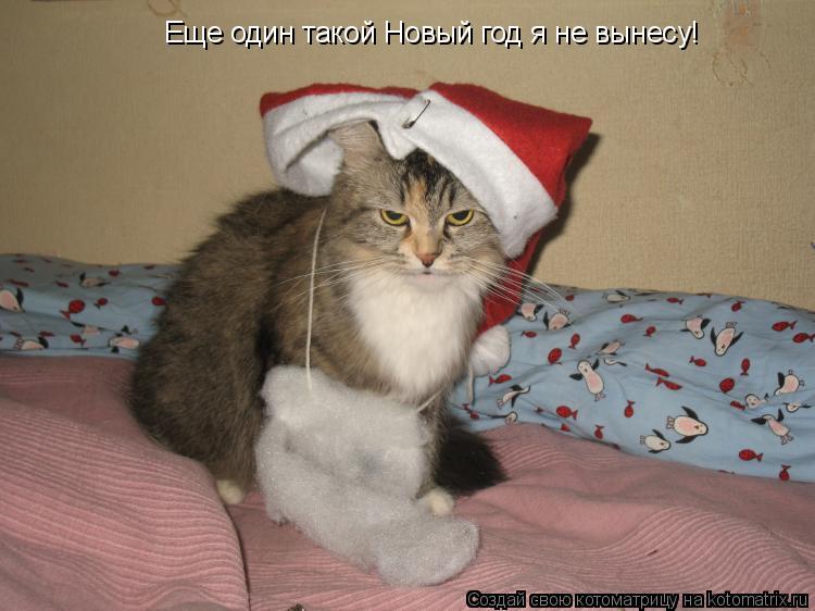 Еще один такой Новый год я не вынесу!... Котоматрица: Еще один такой Новый год я не вынесу!