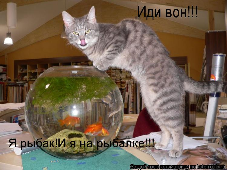 Иди вон!!! Я рыбак!И я на рыбалке!!!... Котоматрица: Иди вон!!! Я рыбак!И я на рыбалке!!!