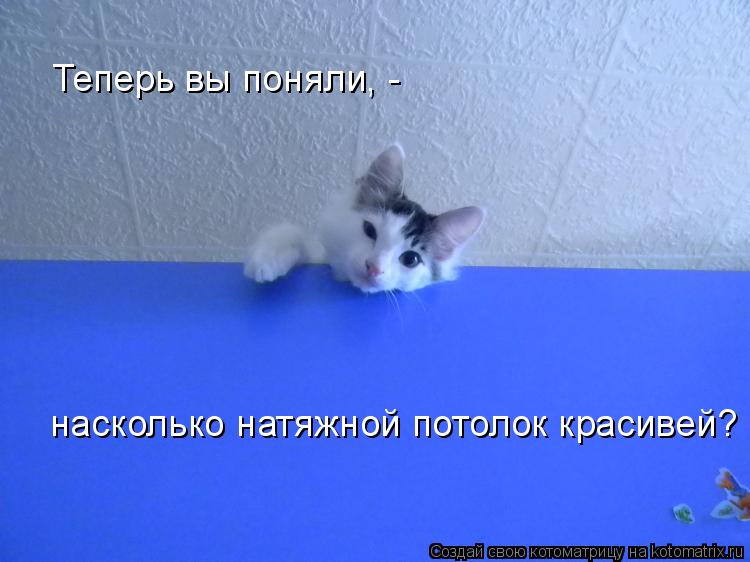 Теперь вы поняли, - насколько натяжной потолок красивей?... Котоматрица: Теперь вы поняли, - насколько натяжной потолок красивей?