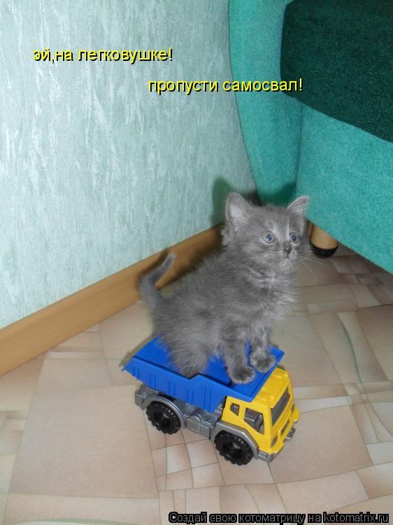эй,на легковушке! пропусти самосвал!... Котоматрица: эй,на легковушке! пропусти самосвал!