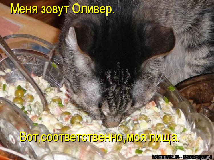 Меня зовут Оливер. Вот,соответственно,моя пища.... Котоматрица: Меня зовут Оливер. Вот,соответственно,моя пища.