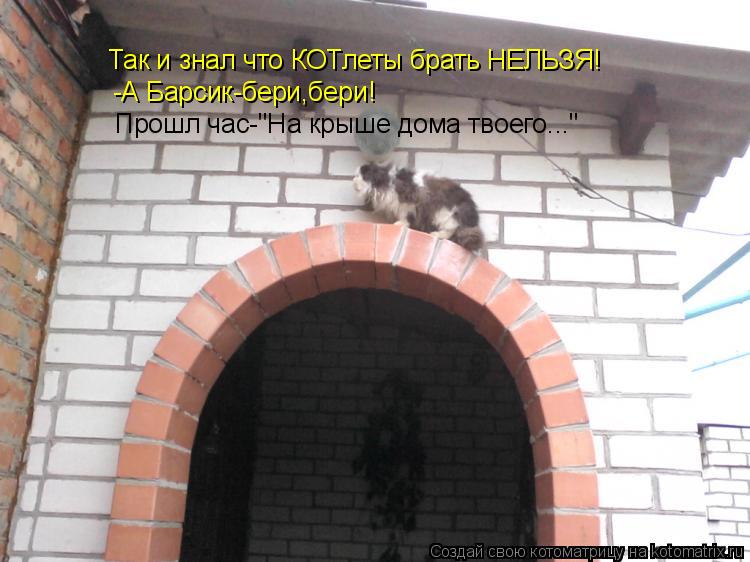 Так и знал что КОТлеты брать НЕЛЬЗЯ! -А Барсик-бери,бери! Прошл час-"На крыше дома твоего..."... Котоматрица: Так и знал что КОТлеты брать НЕЛЬЗЯ! -А Барсик-бери,бери! Прошл час-"На крыше дома твоего..."