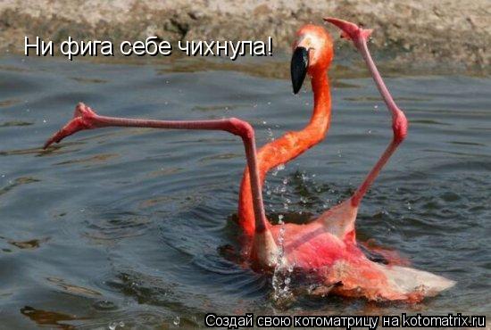 Ни фига себе чихнула!... Котоматрица: Ни фига себе чихнула!
