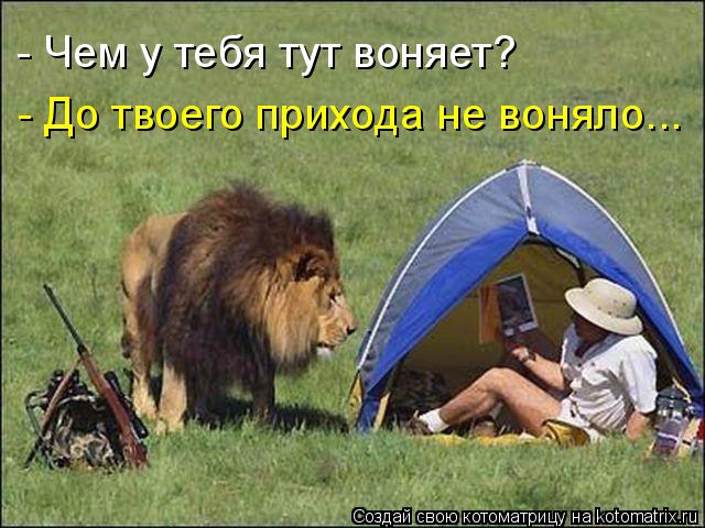 - Чем у тебя тут воняет? - До твоего прихода не воняло...... Котоматрица: - Чем у тебя тут воняет? - До твоего прихода не воняло...