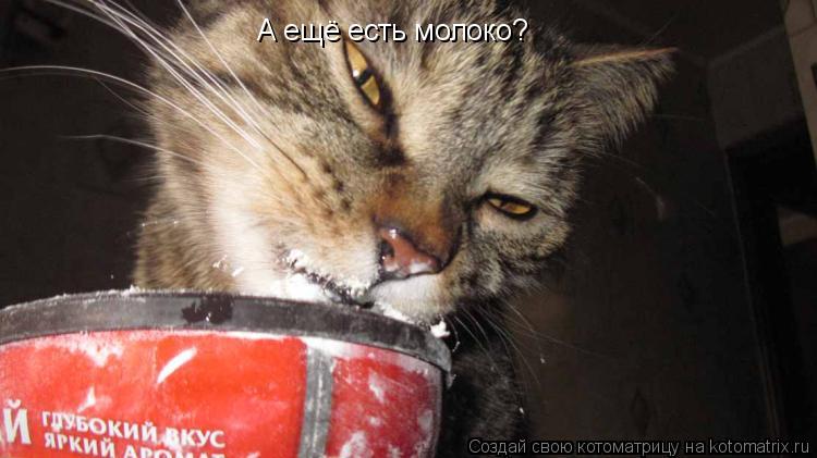 А ещё есть молоко?... Котоматрица: А ещё есть молоко?