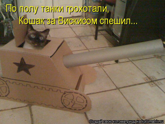 По полу танки грохотали, Кошак за Вискисом спешил...... Котоматрица: По полу танки грохотали, Кошак за Вискисом спешил...