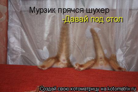 Мурзик прячся шухер -Давай под стол... Котоматрица: Мурзик прячся шухер -Давай под стол