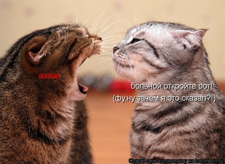 больной,откройте рот! ааааа (фу,ну зачем я это сказал?!)... Котоматрица: больной,откройте рот! ааааа (фу,ну зачем я это сказал?!)