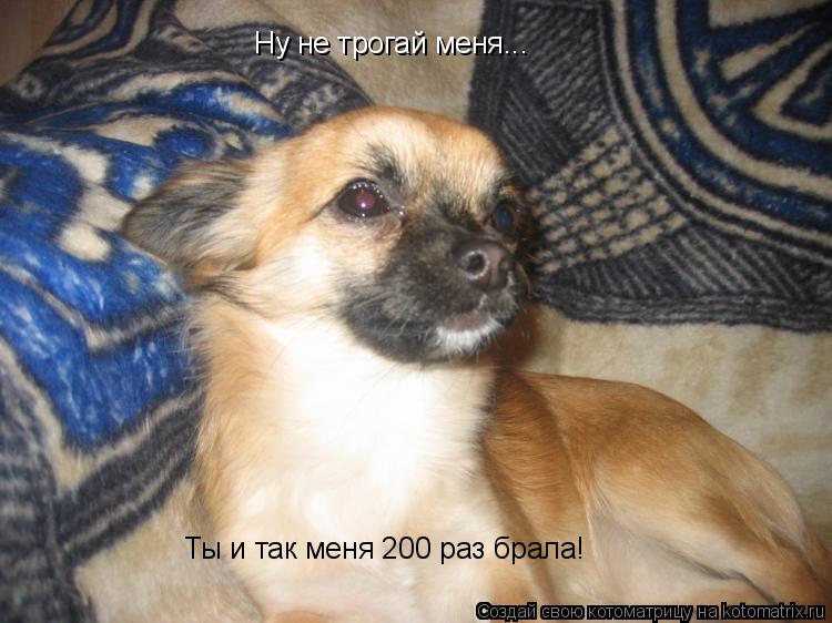 Ну не трогай меня... Ты и так меня 200 раз брала!... Котоматрица: Ну не трогай меня... Ты и так меня 200 раз брала!