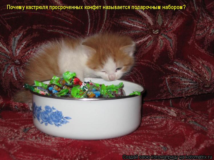 Почему кастрюля просроченных конфет называется подарочным набором?... Котоматрица: Почему кастрюля просроченных конфет называется подарочным набором?