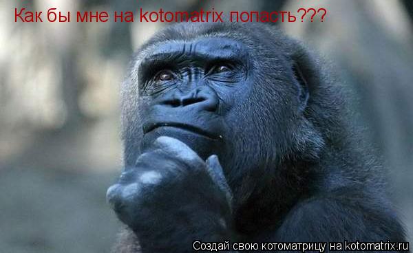Как бы мне на kotomatrix попасть???... Котоматрица: Как бы мне на kotomatrix попасть???
