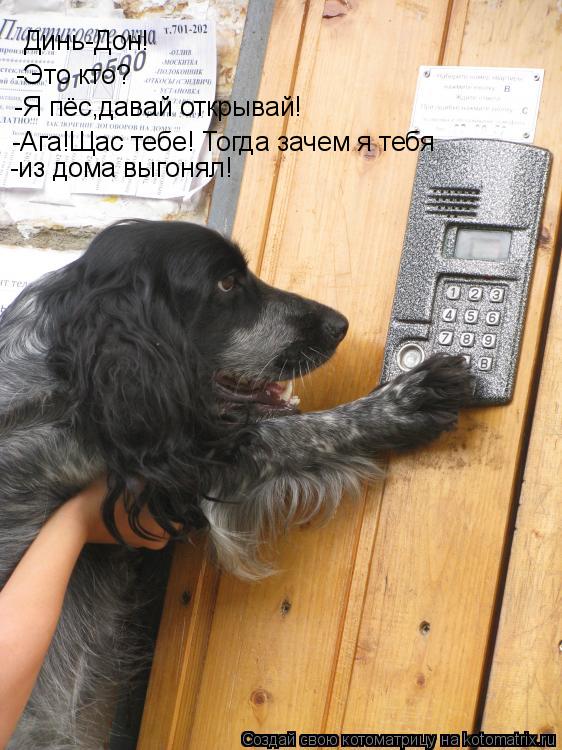 Динь-Дон! -Это кто? -Я пёс,давай открывай! -Ага!Щас тебе! Тогда зачем я тебя -из дома выгонял!... Котоматрица: Динь-Дон! -Это кто? -Я пёс,давай открывай! -Ага!Щас тебе! Тогда зачем я тебя -из дома выгонял!