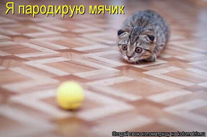 Я пародирую мячик... Котоматрица: Я пародирую мячик
