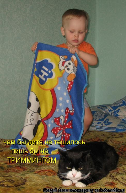 чем бы дитя не тешилось.. лишь бы не ТРИММИНГОМ... Котоматрица: чем бы дитя не тешилось.. лишь бы не ТРИММИНГОМ
