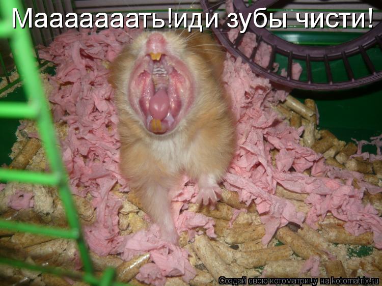 Мааааааать!иди зубы чисти!... Котоматрица: Мааааааать!иди зубы чисти!