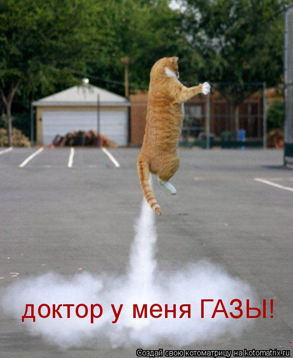 доктор у меня ГАЗЫ!... Котоматрица: доктор у меня ГАЗЫ!