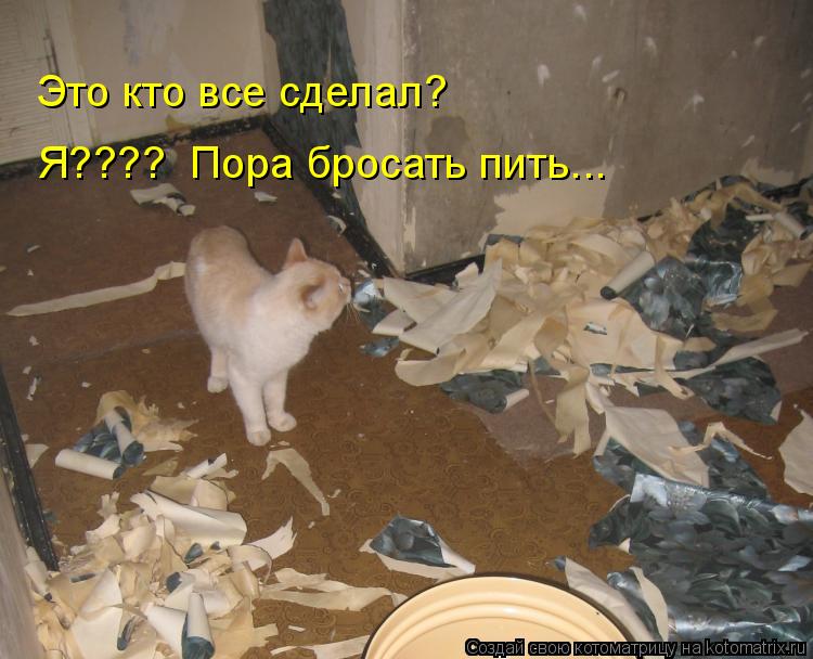 Это кто все сделал? Я???? Пора бросать пить...... Котоматрица: Это кто все сделал? Я???? Пора бросать пить...