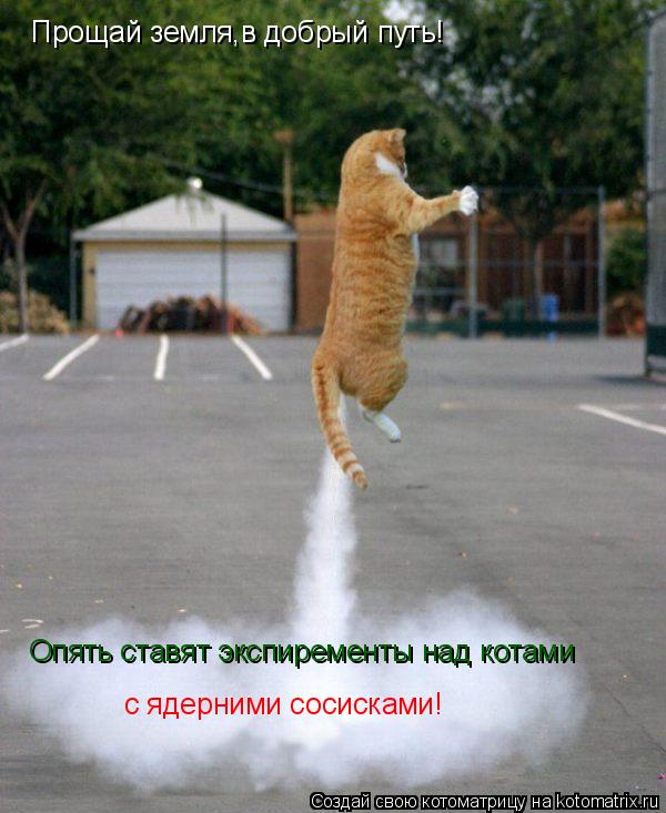 Прощай земля,в добрый путь! Опять ставят экспиременты над котами с ядерними сосисками!... Котоматрица: Прощай земля,в добрый путь! Опять ставят экспиременты над котами с ядерними сосисками!