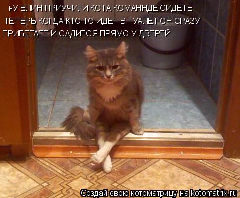 нУ БЛИН ПРИУЧИЛИ КОТА КОМАННДЕ СИДЕТЬ ТЕПЕРЬ КОГДА КТО-ТО ИДЕТ В ТУАЛЕТ ОН СРАЗУ ПРИБЕГАЕТ И САДИТСЯ... Котоматрица: нУ БЛИН ПРИУЧИЛИ КОТА КОМАННДЕ СИДЕТЬ ТЕПЕРЬ КОГДА КТО-ТО ИДЕТ В ТУАЛЕТ ОН СРАЗУ ПРИБЕГАЕТ И САДИТСЯ ПРЯМО У ДВЕРЕЙ