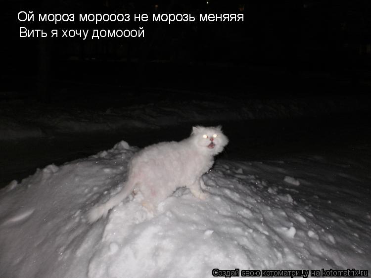 Ой мороз мороооз не морозь меняяя Ой мороз мороооз не морозь меняяя Ой мороз мороооз не морозь меняяя... Котоматрица: Ой мороз мороооз не морозь меняяя Ой мороз мороооз не морозь меняяя Ой мороз мороооз не морозь меняяя Вить я хочу домооой