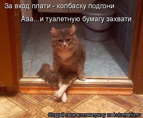 За вход плати - колбаску подгони Ааа...и туалетную бумагу захвати... Котоматрица: За вход плати - колбаску подгони Ааа...и туалетную бумагу захвати