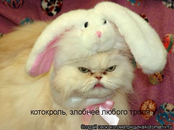 котокроль, злобнее любого троля... Котоматрица: котокроль, злобнее любого троля