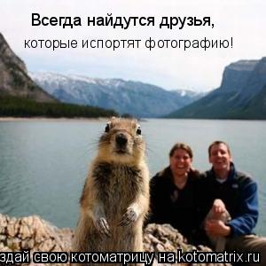 Всегда найдутся друзья, которые испортят фотографию!... Котоматрица: Всегда найдутся друзья, которые испортят фотографию!
