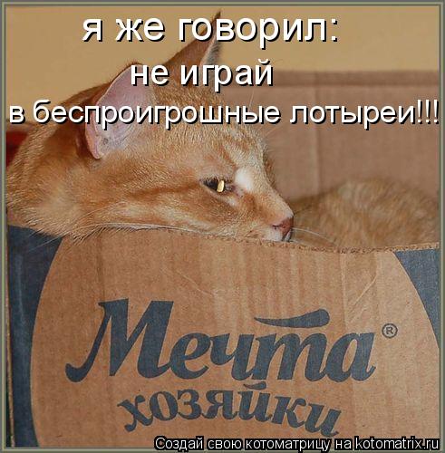 я же говорил: не играй в беспроигрошные лотыреи!!!... Котоматрица: я же говорил: не играй в беспроигрошные лотыреи!!!