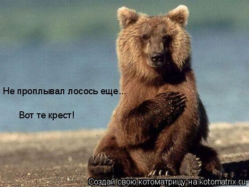 Не проплывал лосось еще... Вот те крест!... Котоматрица: Не проплывал лосось еще... Вот те крест!