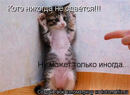 Котэ никогда не сдаётся!!! Ну может только иногда...... Котоматрица: Котэ никогда не сдаётся!!! Ну может только иногда...