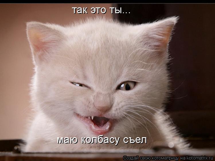 так это ты... маю колбасу съел... Котоматрица: так это ты... маю колбасу съел