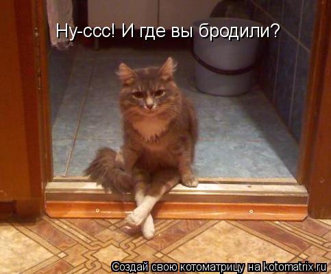 Ну-ссс! И где вы бродили?... Котоматрица: Ну-ссс! И где вы бродили?