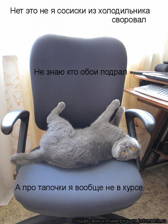 Нет это не я сосиски из холодильника своровал Не знаю кто обои подрал А про тапочки я вообще не в кур... Котоматрица: Нет это не я сосиски из холодильника своровал Не знаю кто обои подрал А про тапочки я вообще не в курсе