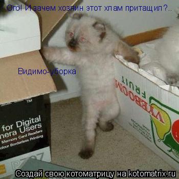 Ого! И зачем хозяин этот хлам притащил?.. Видимо-уборка... Котоматрица: Ого! И зачем хозяин этот хлам притащил?.. Видимо-уборка