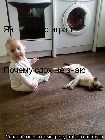Яй... просто играл... Почему сдох-не знаю!... Котоматрица: Яй... просто играл... Почему сдох-не знаю!